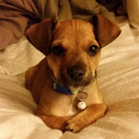 Meet your Posher, Pamela 🩷🥞 - Picture 7 of 13